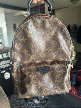 Louis Vuitton Palm Springs PM Monogram Backpack